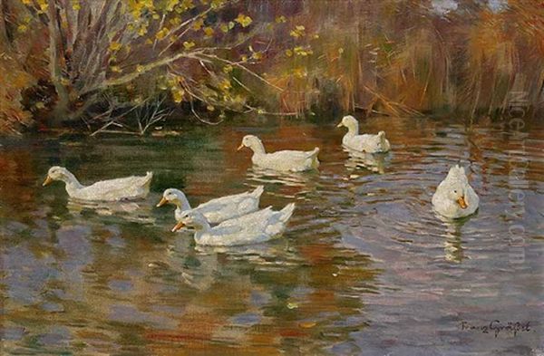 Sechs Enten In Einem Teich Oil Painting by Franz Graessel