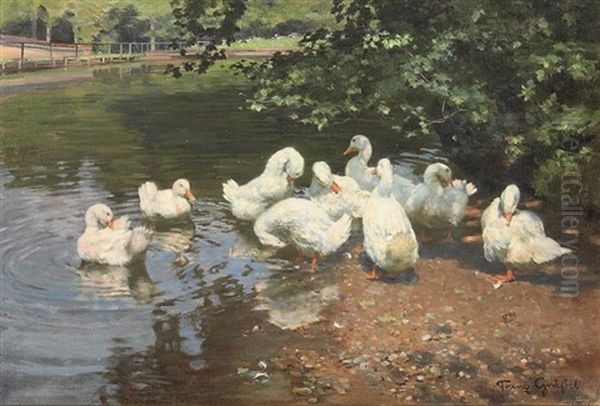 Am Ententeiche: Ducks In A Pont Oil Painting by Franz Graessel