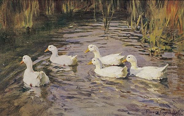 Funf Weise Enten Im Teich Oil Painting by Franz Graessel