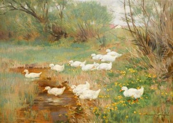 Ducks Crossing A Brook Oil Painting by Franz Graessel