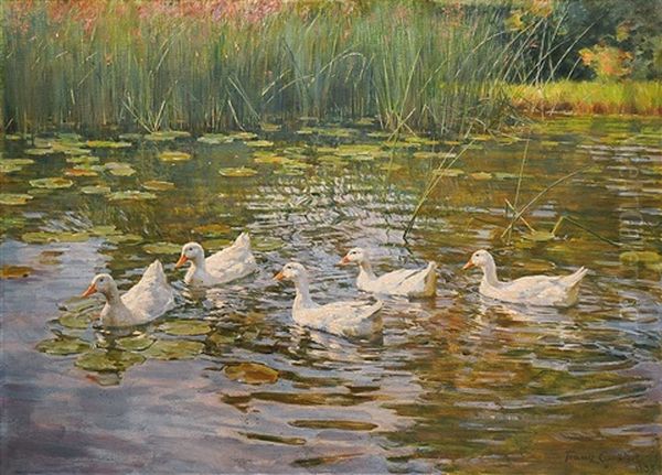 Funf Enten Im Seerosenteich Oil Painting by Franz Graessel