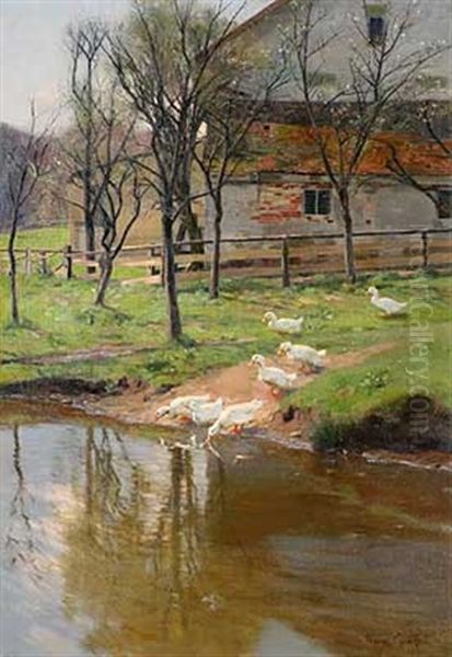 Fruhlingssonne Uber Weisen Enten Am Fluss Oil Painting by Franz Graessel