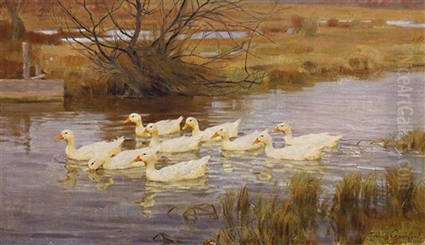 Enten Auf Dem Wasser Oil Painting by Franz Graessel