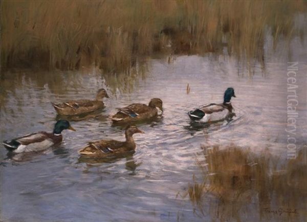 Wildenten Im Fluss Am Schilfufer Oil Painting by Franz Graessel