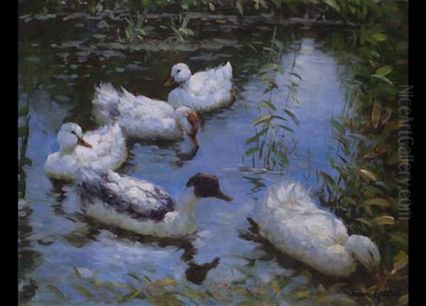 Enten Am Weiher Oil Painting by Franz Graessel