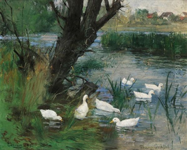 Enten Am Dorfteich Oil Painting by Franz Graessel