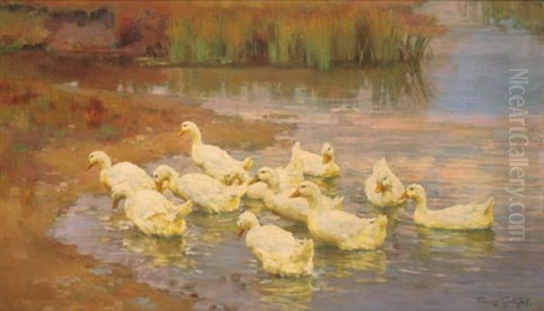 Enten Am Schilfbewachsenen Ufer Oil Painting by Franz Graessel