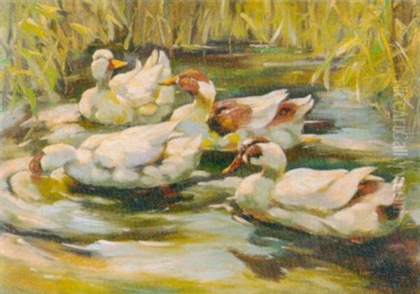 Enten Im Schilf Oil Painting by Franz Graessel