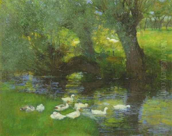 Enten Am Weiher Unter Baumen Im Ommer Oil Painting by Franz Graessel