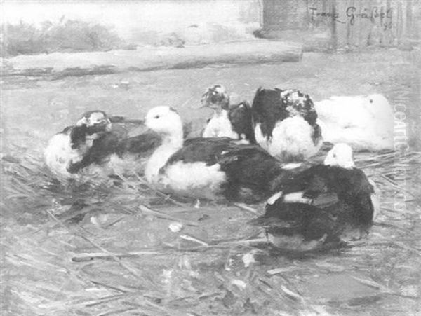 Enten Auf Dem Bauernhof Oil Painting by Franz Graessel