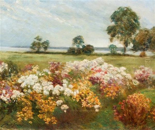 Field Of Wildflowers by Abbott Fuller Graves