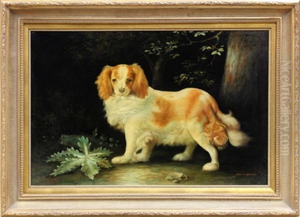 Portrait Of A King Charles Spaniel Oil Painting by John Gray