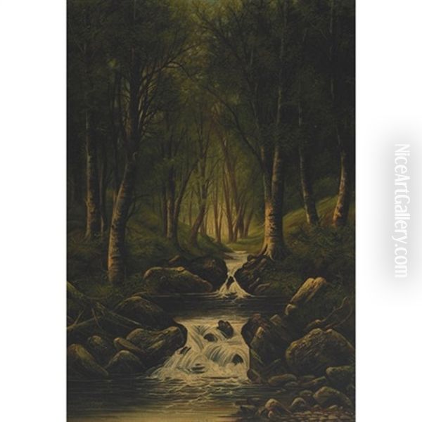 A Woodland Brook Oil Painting by John Warren Gray