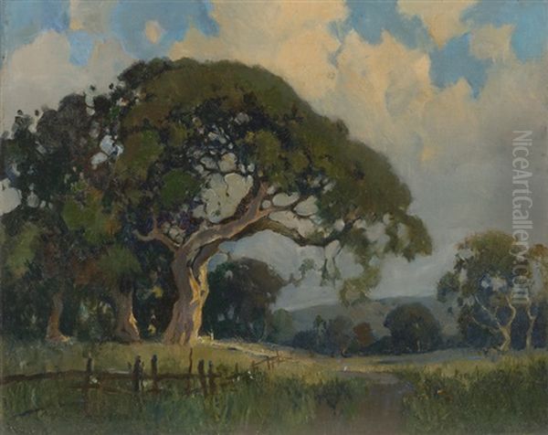 Oak Grove With Lupine And Poppies by Percy Gray