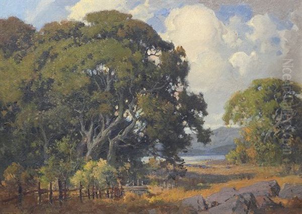 Marin Oaks by Percy Gray