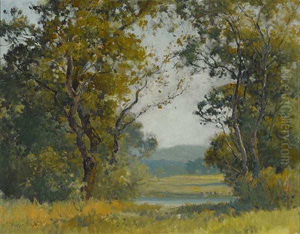 Marin County View by Percy Gray