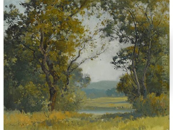 Marin County View by Percy Gray