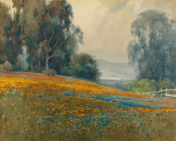 Eucalyptus Grove With Poppies And Lupine And Mount Tamalpais In The Distance by Percy Gray