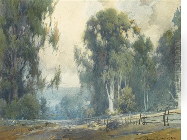 Eucalyptus In The California Hills by Percy Gray