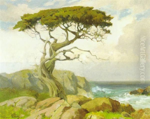 Monterey Cypress by Percy Gray