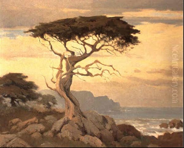 Monterey Cypress by Percy Gray