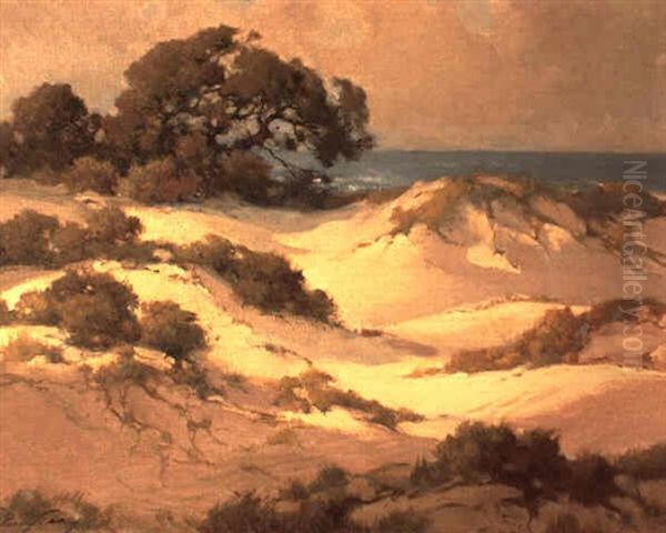 Sand Dunes Along The Monterey Coast by Percy Gray