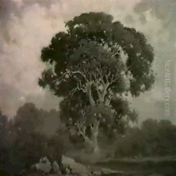 Oak Tree, Marin by Percy Gray