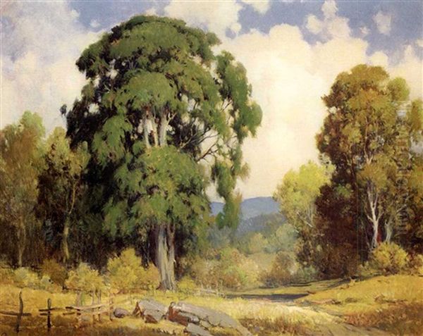 Aetna Springs Landscape by Percy Gray