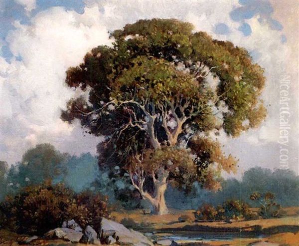 Oak Tree, Marin by Percy Gray