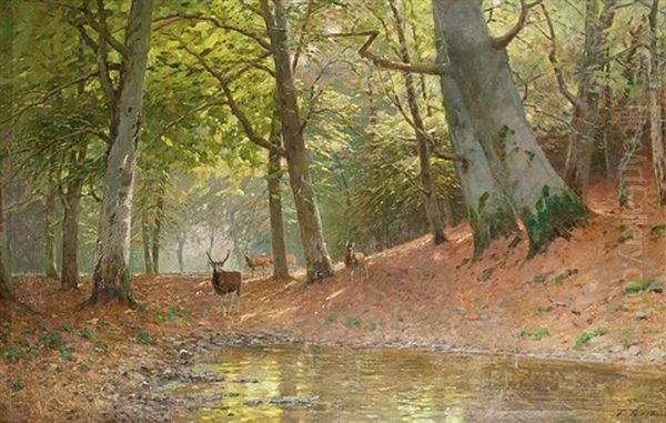 Rotwild Im Wald Oil Painting by Fritz Grebe