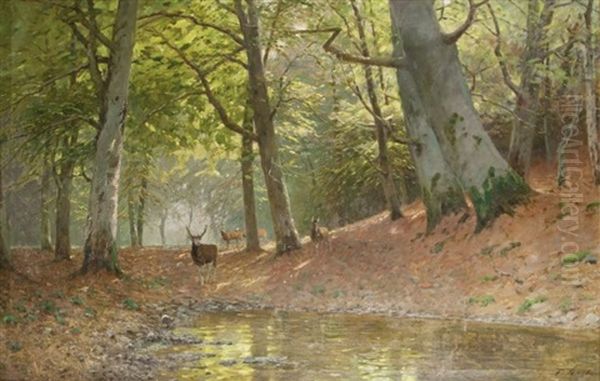 Rotwild Im Wald Oil Painting by Fritz Grebe