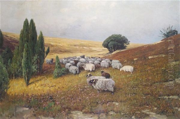 Sheep In A Moorland Landscape Oil Painting by Fritz Grebe