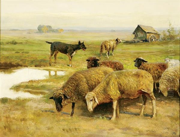 Sheep Grazing Oil Painting by Fritz Grebe