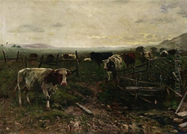 Heimtrieb. Kuhe Auf Der Weide Bei Sonnenuntergang Oil Painting by Fritz Grebe