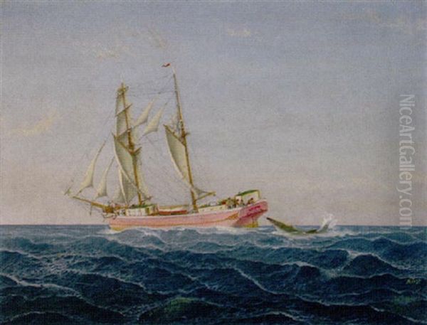 Express Svendborg Beim Haifischfang Oil Painting by Julius Gregersen