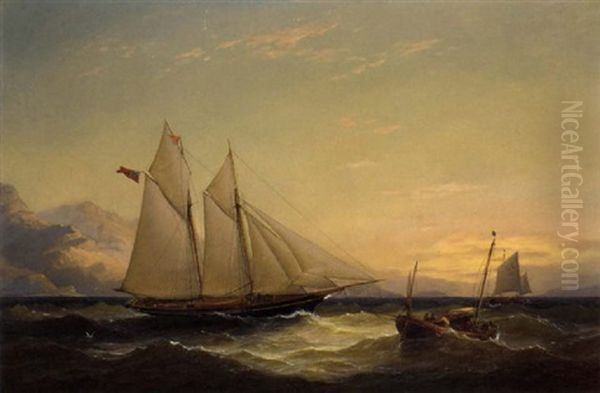 A Schooner Yacht Of The Royal Victoria Yacht Club In The Clyde Oil Painting by Charles Gregory