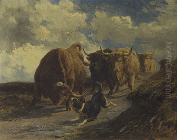 Keeping The Herd Together Oil Painting by Alfred Grey