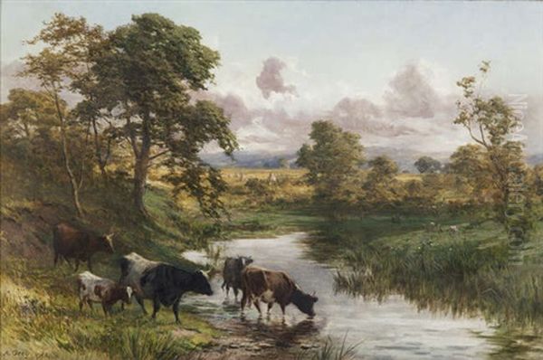 Cattle Watering In A River Landscape Oil Painting by Alfred Grey