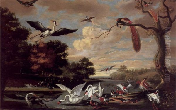 Swans, Ducks, A Red-breasted Merganser, A Galinule, A Stork, Heron, Peacock And A Falcon In A Wooded River Landscape by Jan Griffier the Elder