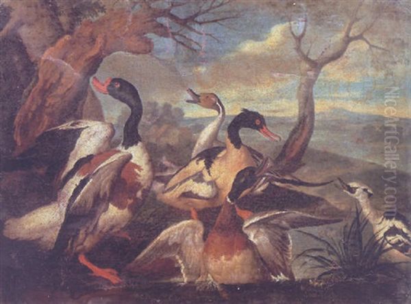 A Shellduck, A Male Pintail, A Goosander, A Male Mallard And A Male Smew On The Bank Of A River, A Landscape Beyond Oil Painting by Jan Griffier the Elder