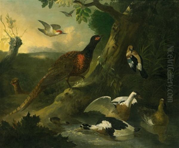 Ein Fasan Und Wildenten An Einem Tumpel Im Waldgrund Oil Painting by Jan Griffier the Younger