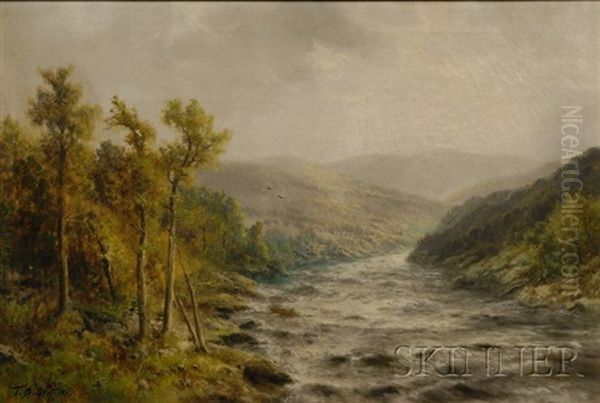 Delaware Water Gap by Thomas Bailey Griffin