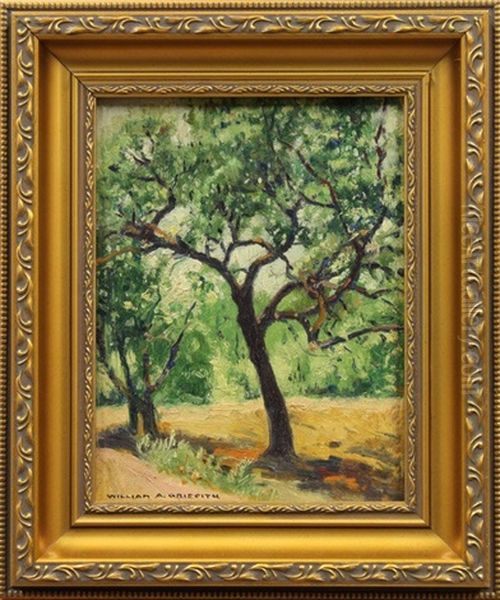 Rancho Nezhone (laguna Beach, Ca) (pair) Oil Painting by William Alexander Griffith