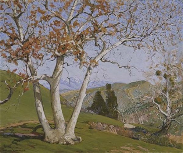 Sycamore Tree - In Laguna Canyon Oil Painting by William Alexander Griffith