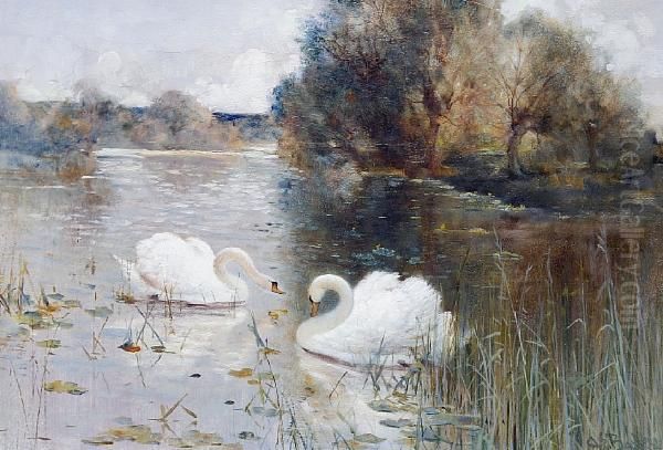 A River Landscape With Swans Oil Painting by Alfred E Bailey