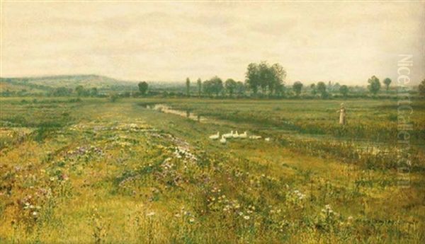 An Extensive Meadow Landscape With Geese By A Stream Oil Painting by John Atkinson Grimshaw