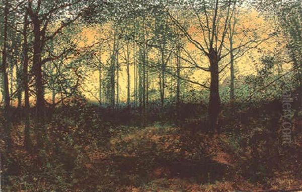 Horsforth Woods, Near Leeds Oil Painting by John Atkinson Grimshaw