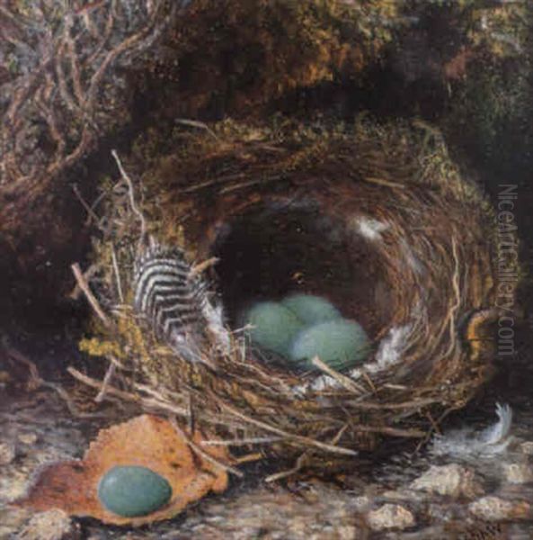 Study Of A Dunnock's Nest Oil Painting by John Atkinson Grimshaw