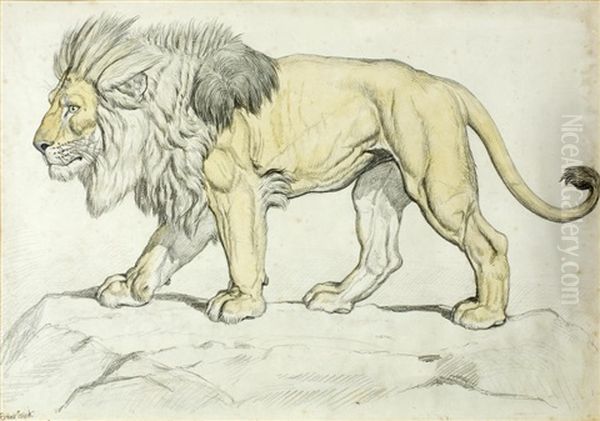 Study Of A Lion On Rocky Ground Oil Painting by Ernest Henri Griset