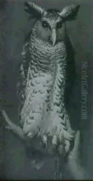 An Eagle Owl Oil Painting by Ernest Henri Griset